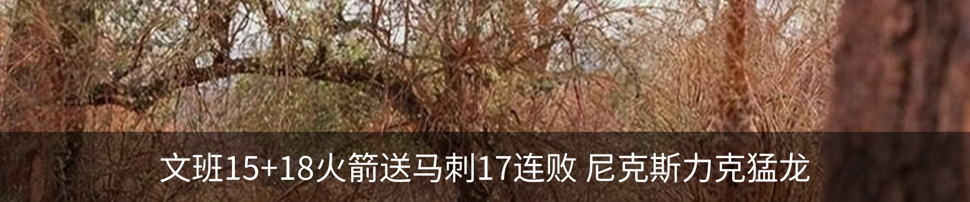最新动态